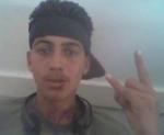 vive aljabha